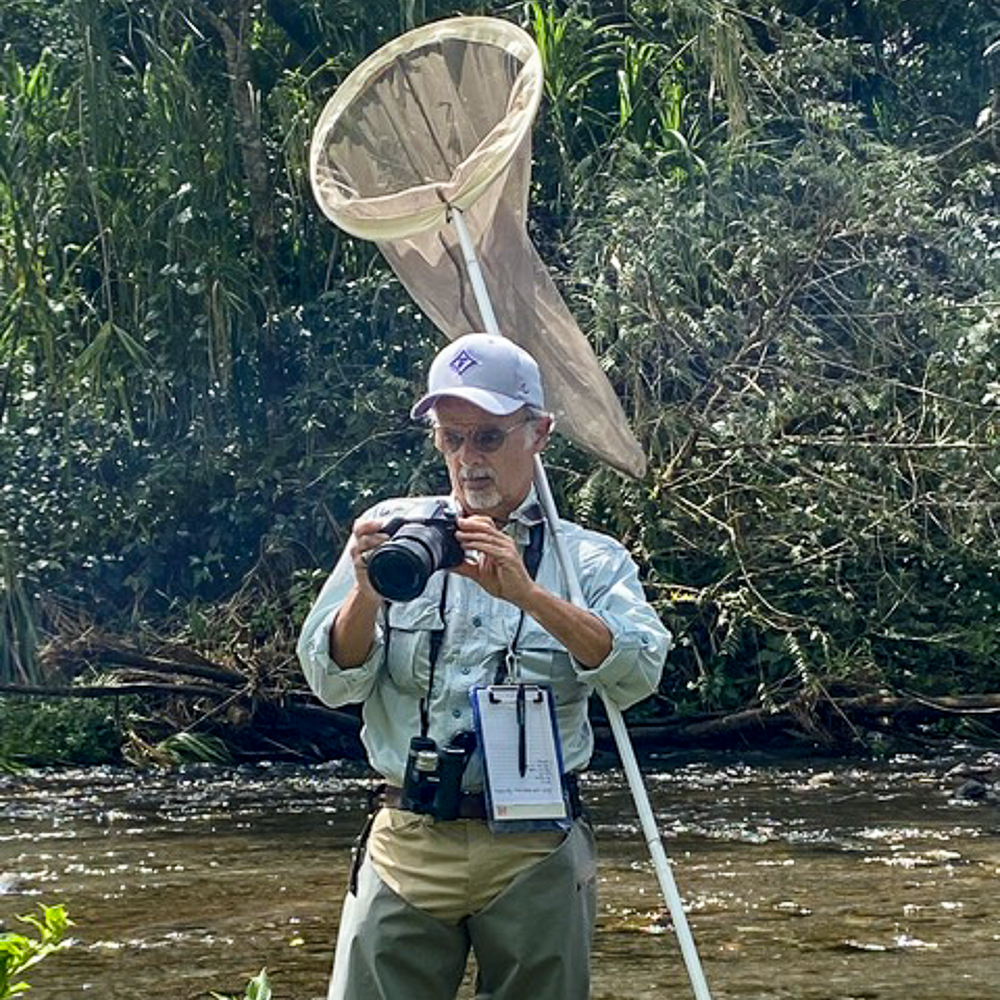 A man with a camera and insect net standing by a stream in a forest.v