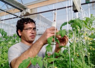 Visiting Scholar tending to plants