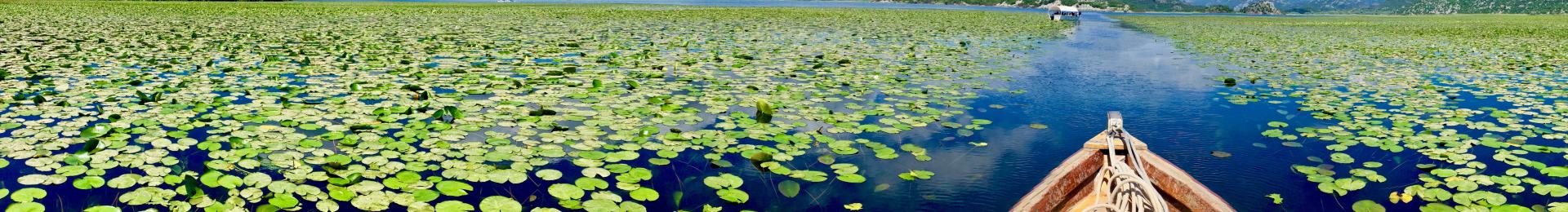 Boat in Albania share Skadar Lake