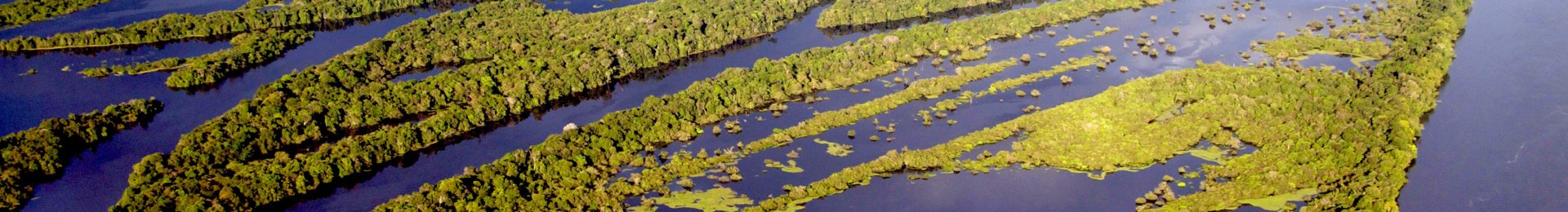 Anavilhanas Archipelago, Rio Negro, Brazil